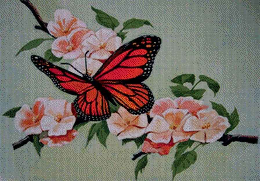 бабочка - ветка, сакура, насекомое, живопись, цветы, весна - предпросмотр