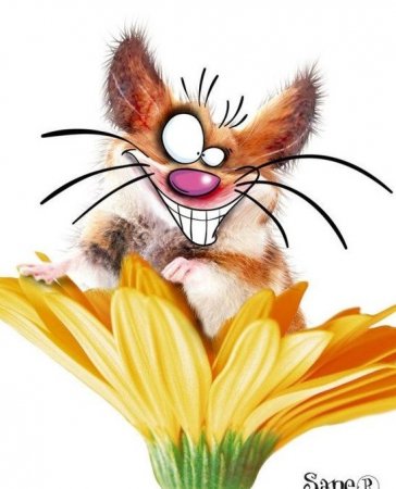 киса 2 - кошки - оригинал