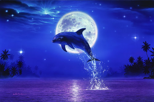 Дельфин - дельфины, ночь, морской пейзаж, луна, рыба - оригинал