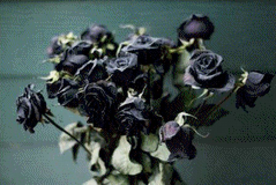 Розы - розы - предпросмотр