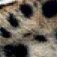 Предпросмотр схемы вышивки «Леопард» (№459861)