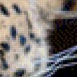 Предпросмотр схемы вышивки «Леопард» (№459864)