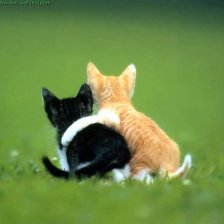 Схема вышивки «Друзья»