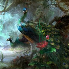 Схема вышивки «павлин»