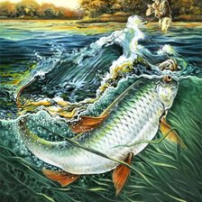 Схема вышивки «крупная рыба»