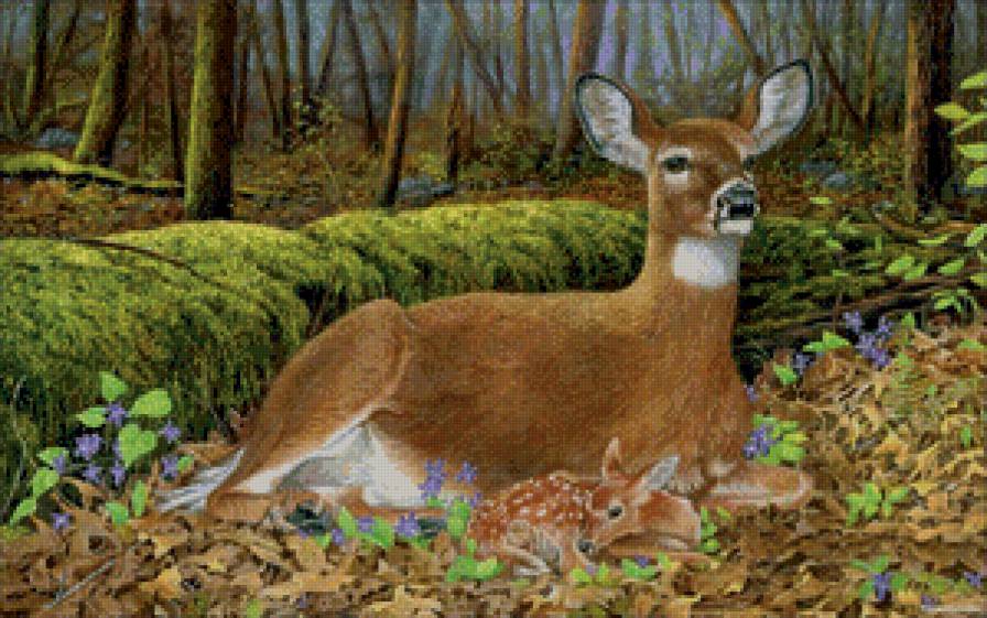 Оленёнок - животные, лес, олени - предпросмотр