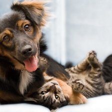 Схема вышивки «поиграем»