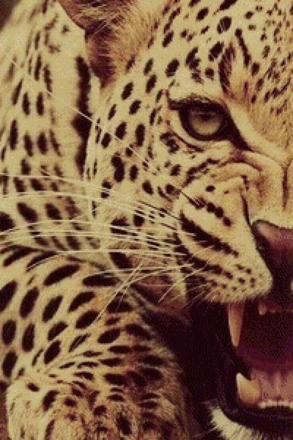 кошка - предпросмотр