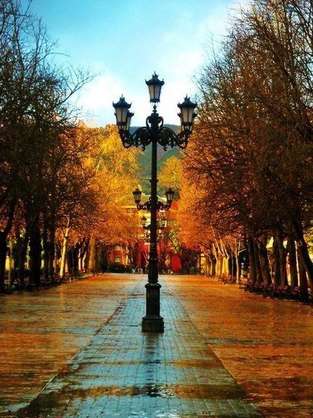 Осень - осень, фонарь, улица - оригинал