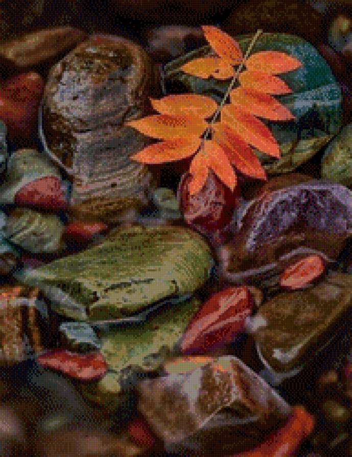 Камушки - осень, камни, вода, листья - предпросмотр