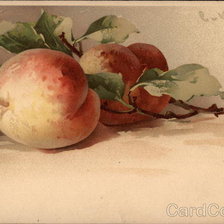 Оригинал схемы вышивки «Sprig of Peaches» (№460495)