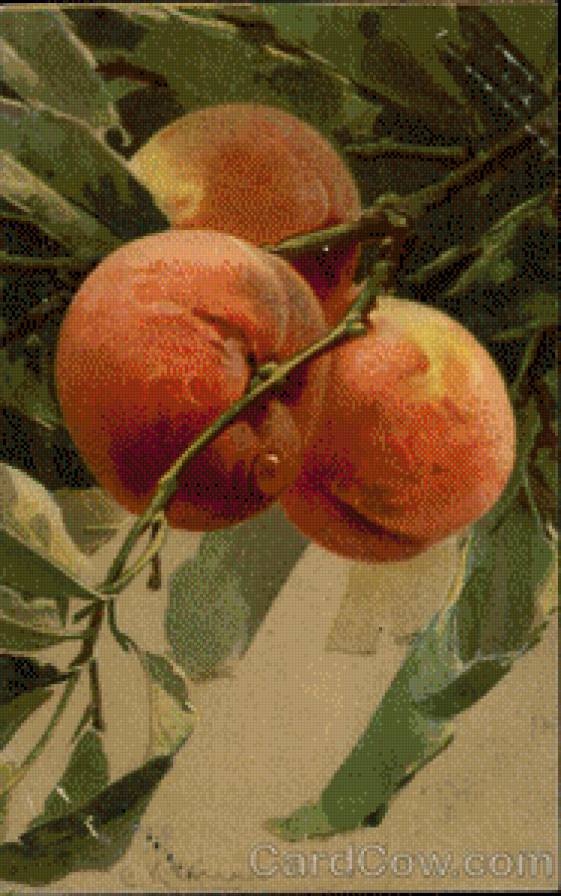 Three Peaches on the Branch - предпросмотр
