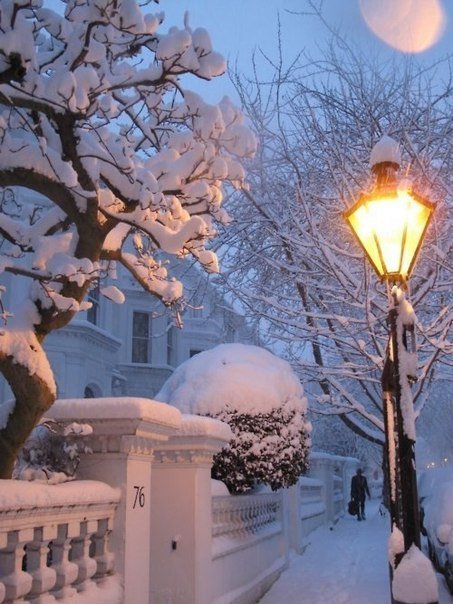 зимняя улица - снег, зима, улица, дерево, свет., фонарь - оригинал