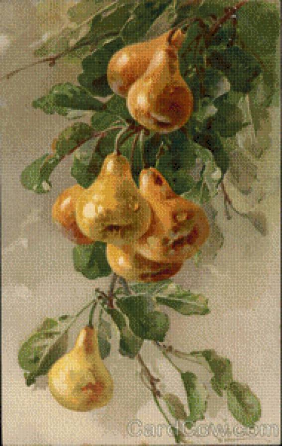Golden Pears on a Branch - предпросмотр