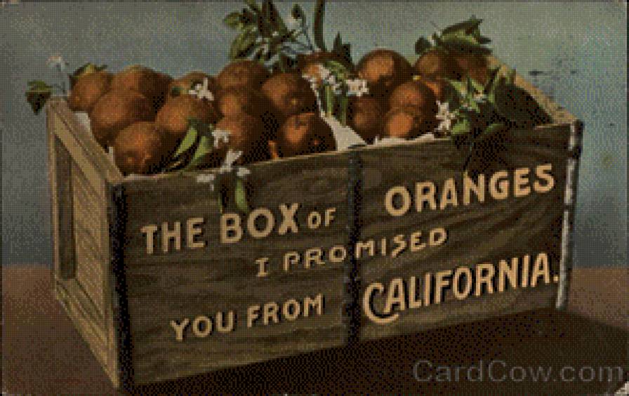 The Box of Oranges I Promised you from California - предпросмотр