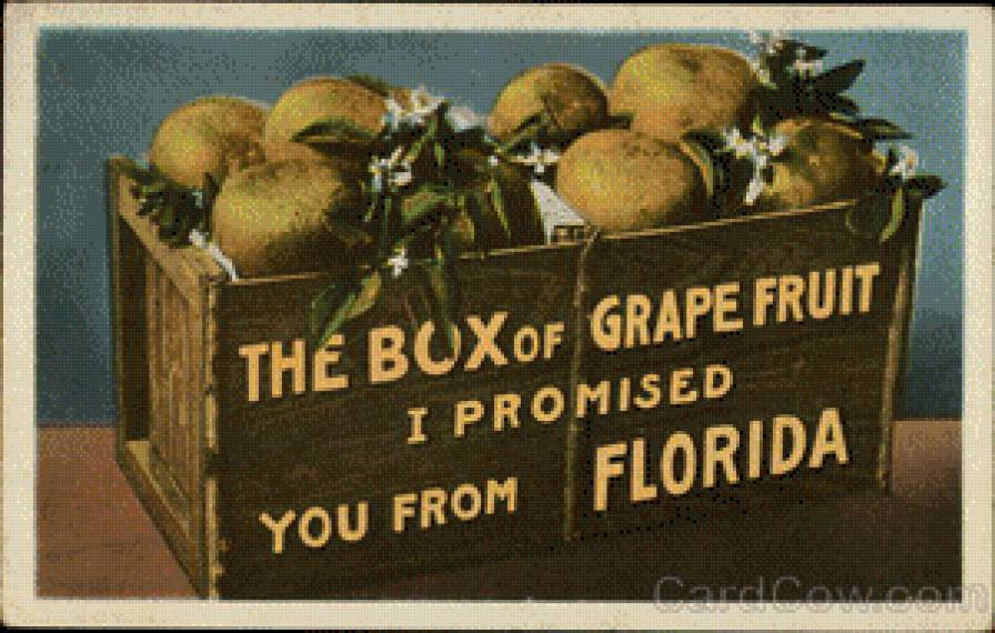 Box of Grapefruit from Florida - предпросмотр