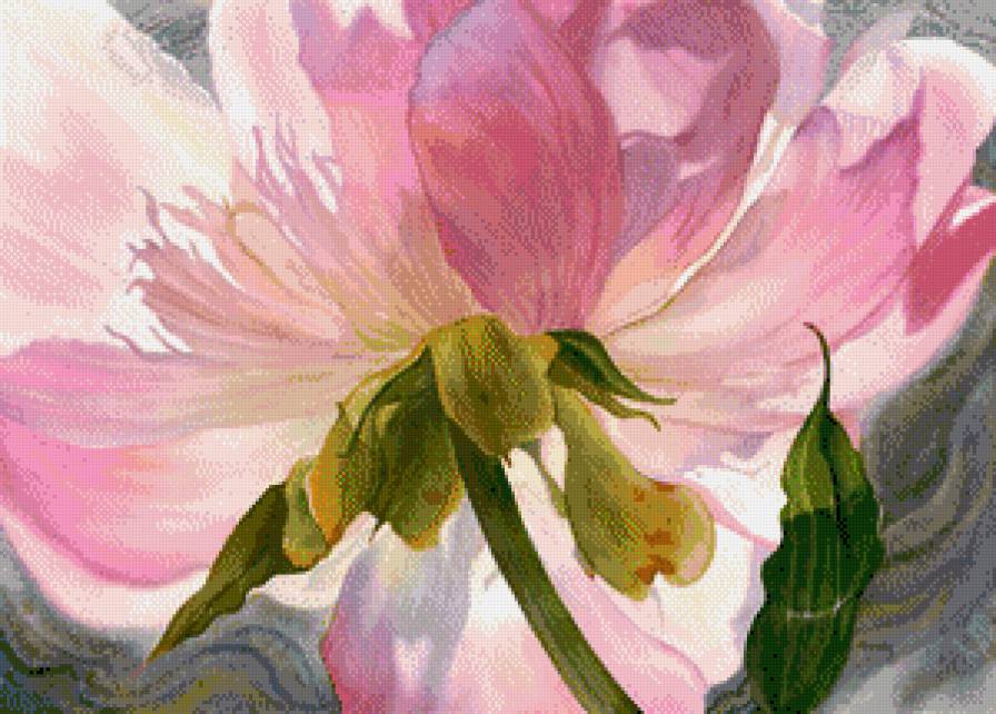 Серия "Букет" - пион, цветы - предпросмотр