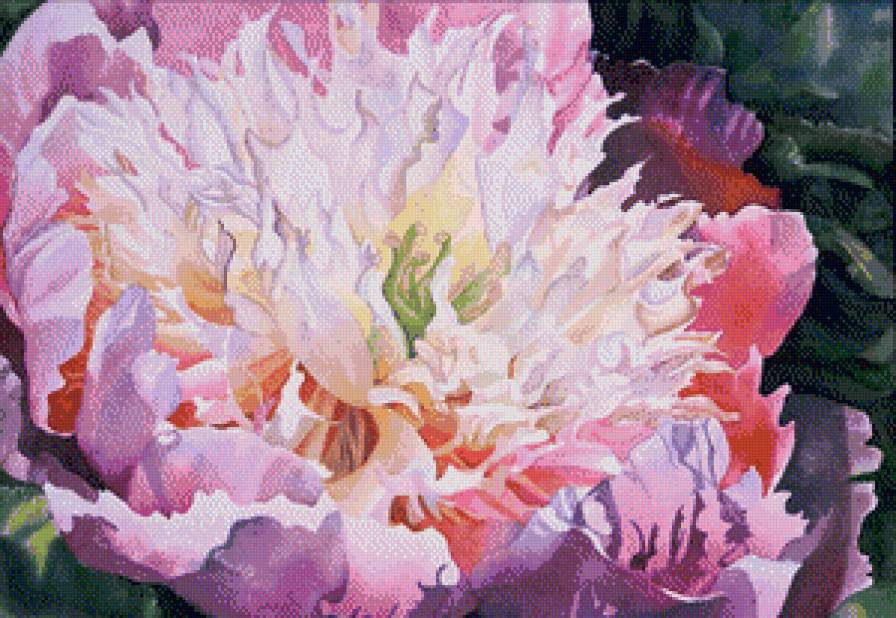 Серия "Букет" - цветы, пионы - предпросмотр