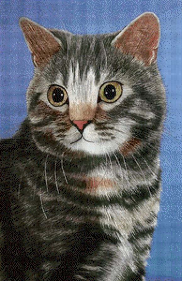 серия "кошки" - кошка - предпросмотр