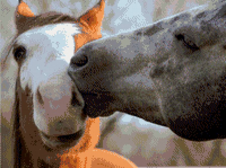 нежность - лошади - предпросмотр