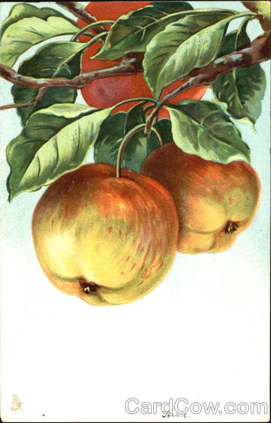 Apples on the branch - оригинал