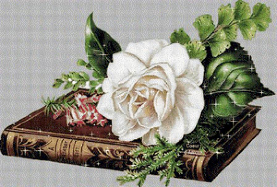 роза - книга, цветок - предпросмотр