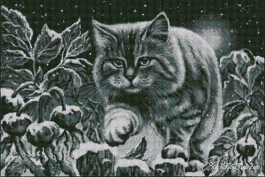 снежный котик - предпросмотр