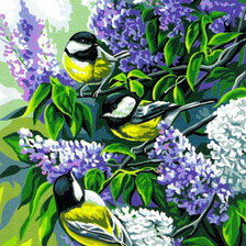 Схема вышивки «Синички»