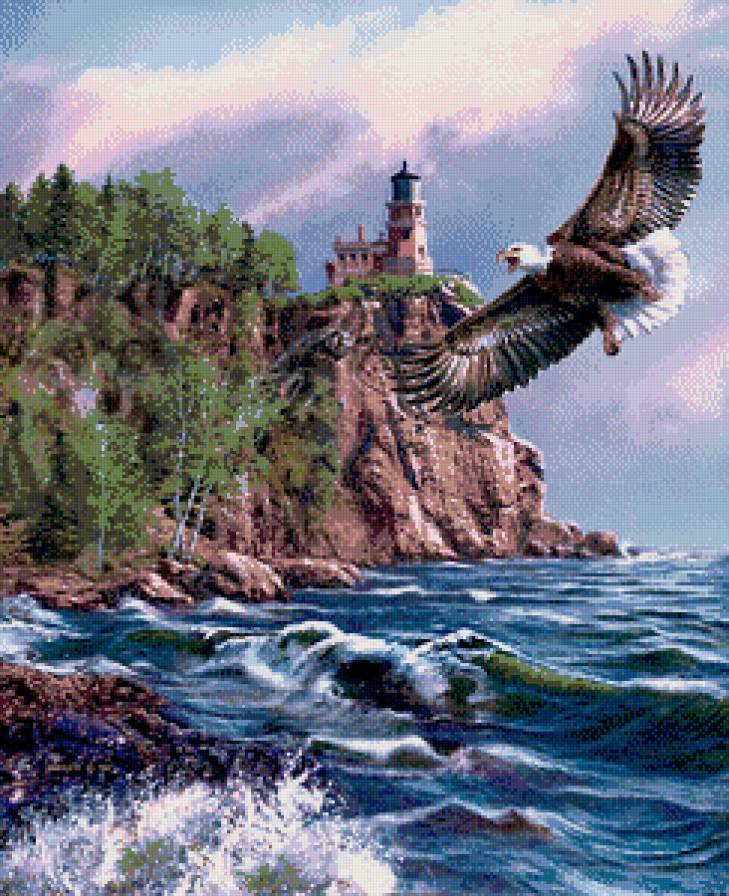 Орел - птицы - предпросмотр