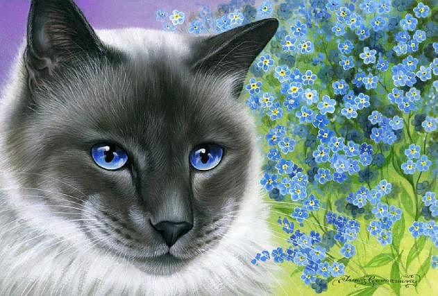 Котик с незабудками - оригинал