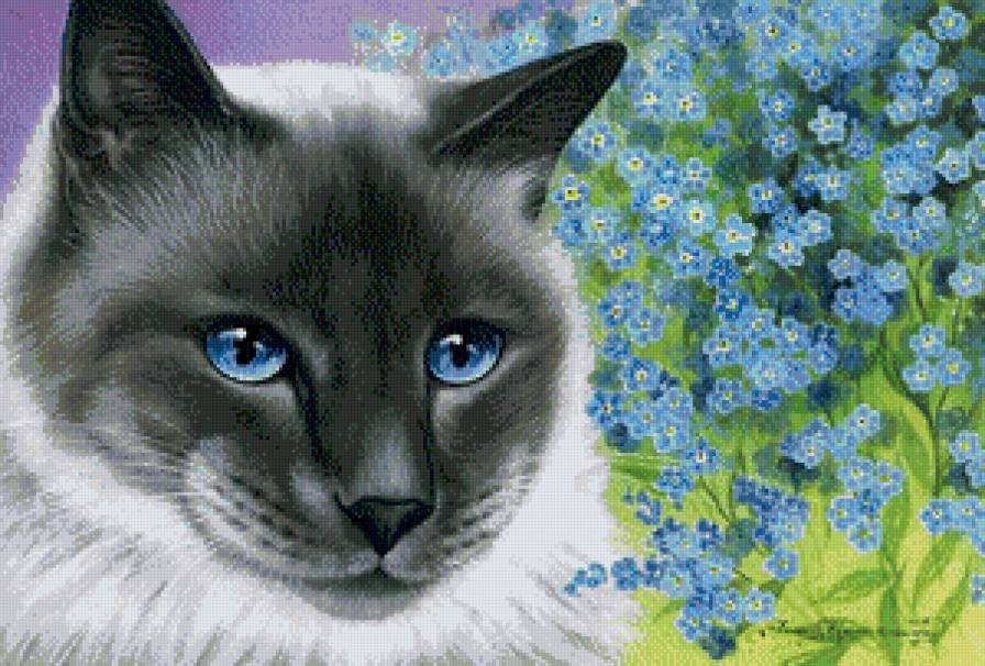 Котик с незабудками - предпросмотр