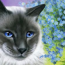 Схема вышивки «Котик с незабудками»