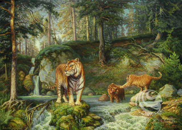 Тигры купаются - оригинал