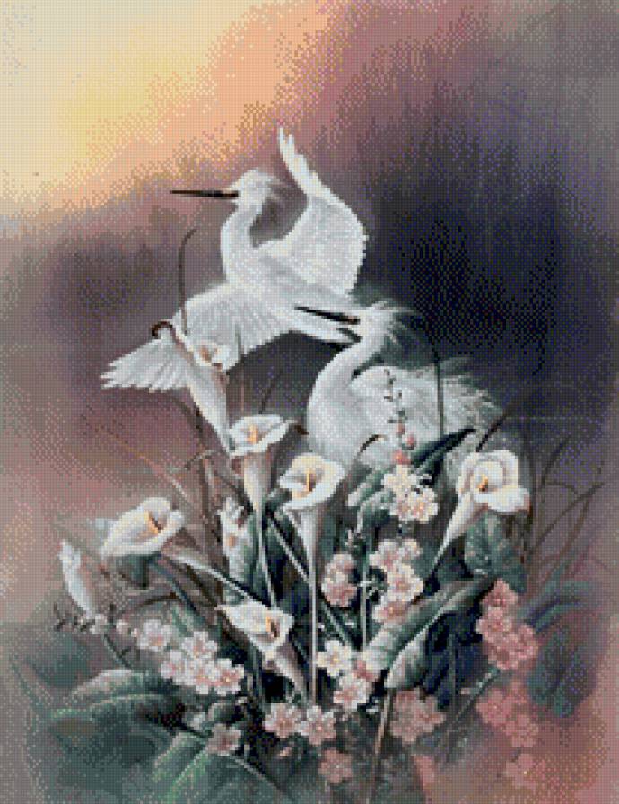 цапли - предпросмотр