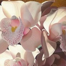 Оригинал схемы вышивки «Орхидея» (№461848)