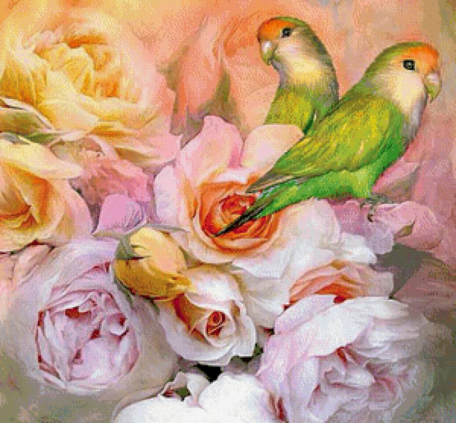 Попугайчики - розы, цветы, птицы, попугаи - предпросмотр