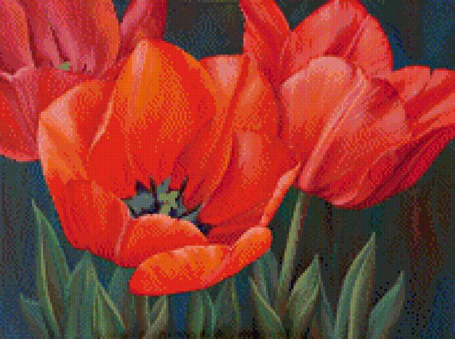 №461972 - цветы, тюльпаны - предпросмотр