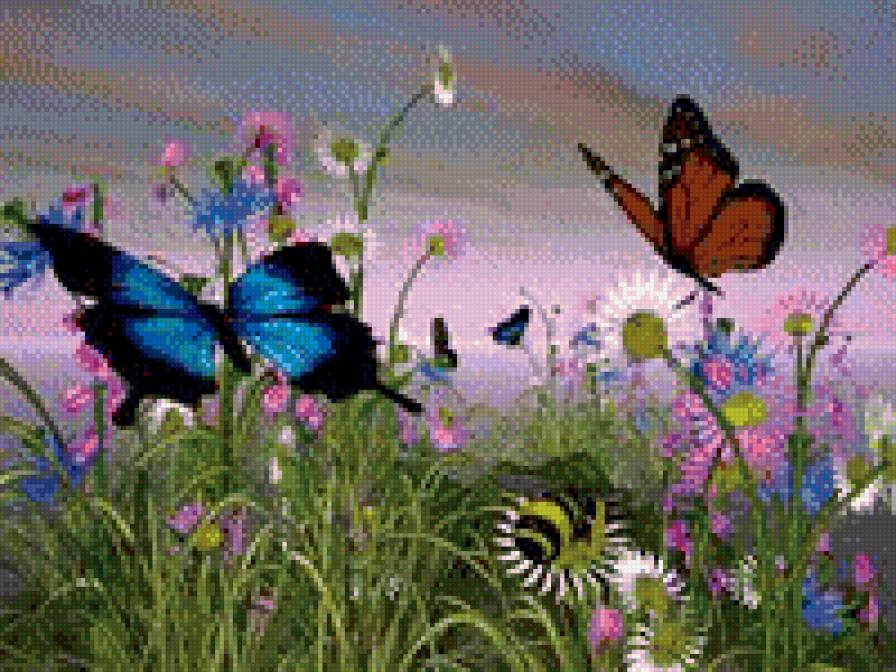 бабочки на лугу - бабочки, насекомые - предпросмотр