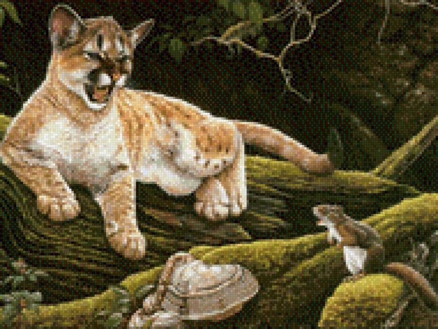 0151 - картина, животные, кошки, природа, лето, красота, леопард - предпросмотр