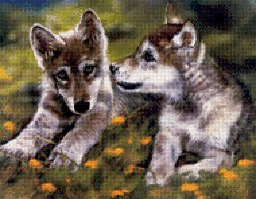 0152 - волк, волки, красота, картина, природа, лето, животные - предпросмотр