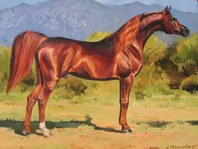 0154 - лошадь, красота, животные, природа, лето, кони, картина - оригинал