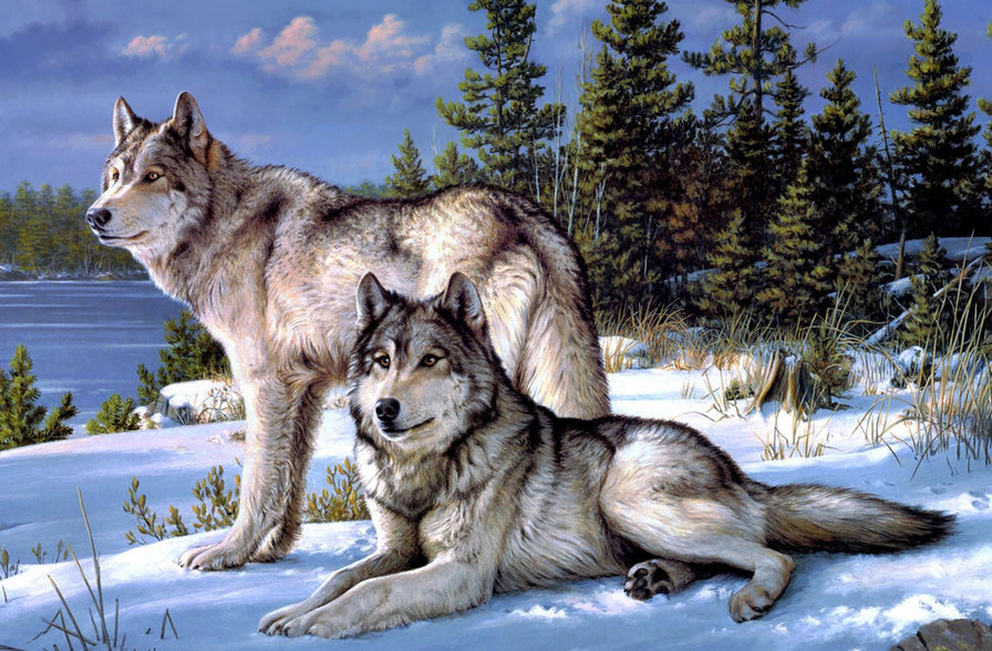 №462155 - волки - оригинал