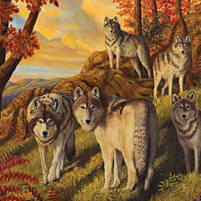 Оригинал схемы вышивки «№462162»