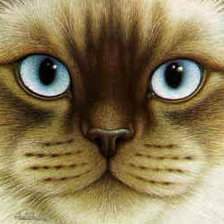 Схема вышивки «№462188»