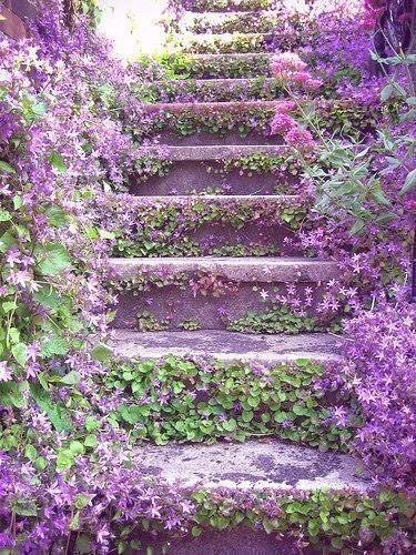 Лестница - цветы, лестница - оригинал
