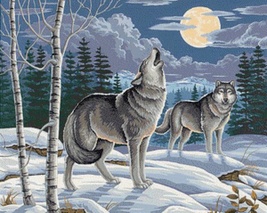 Wolf - wildlife - предпросмотр