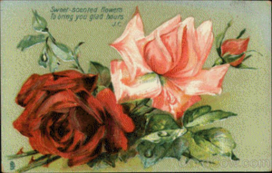 Sweet-Scented Flowers to Bring you Glad Hours - предпросмотр