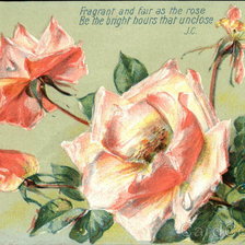 Оригинал схемы вышивки «Pink Roses with Poem» (№462373)