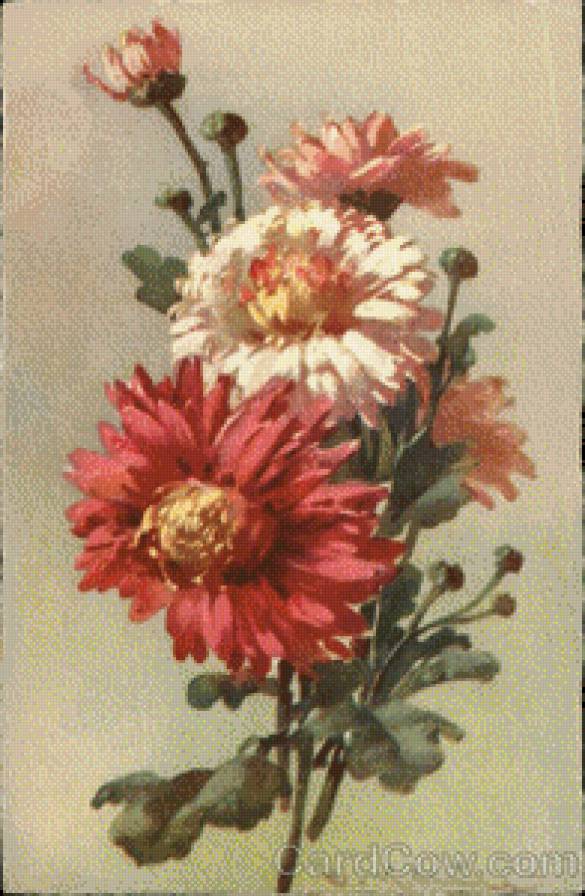 Pink & Red Flowers with Buds & Leaves - предпросмотр