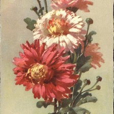 Схема вышивки «Pink & Red Flowers with Buds & Leaves»